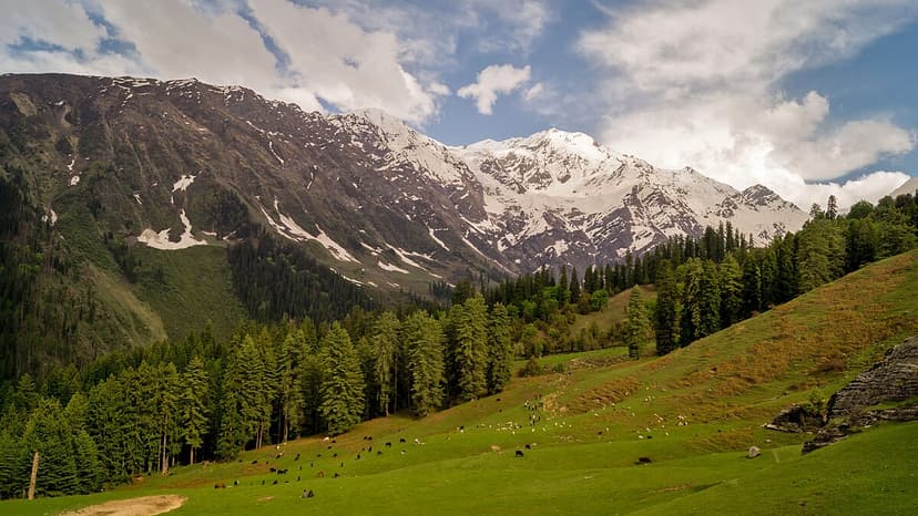 Spiti Valley
