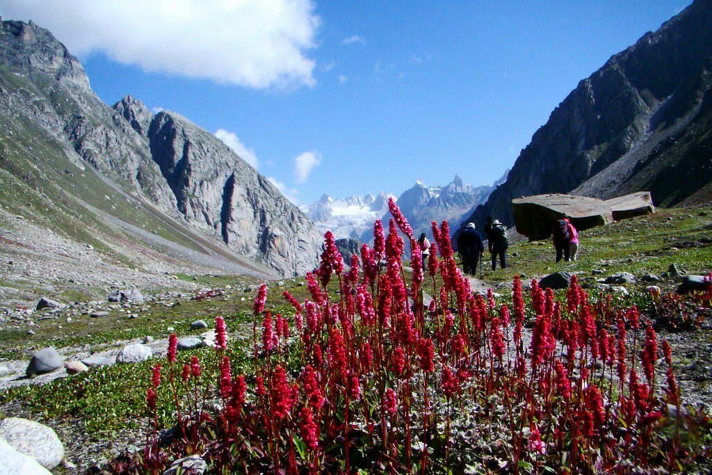 Spiti Valley - Snow Paradise