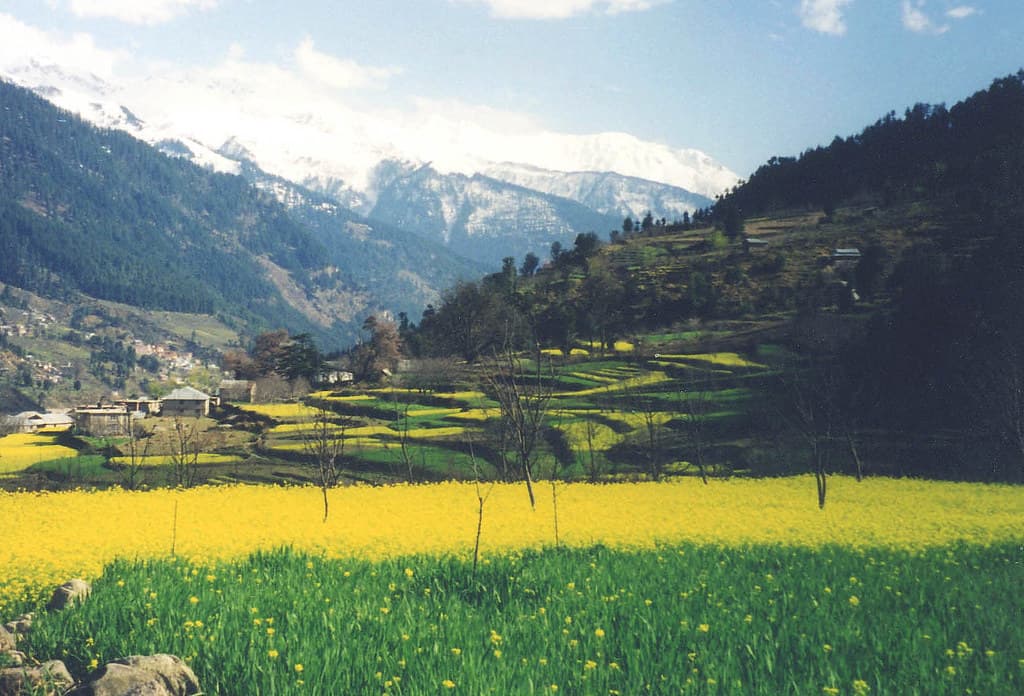 Natural beauty of Malana village